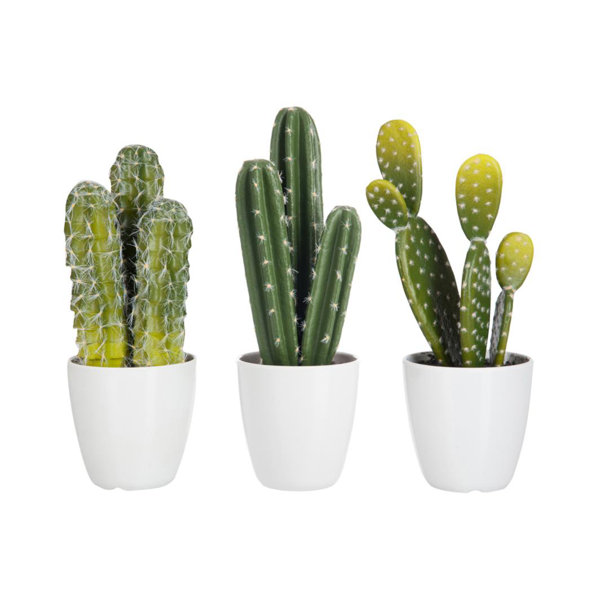 The Seasonal Aisle 3 Artificial Cactus Plant in Pot Set Wayfair.co.uk
